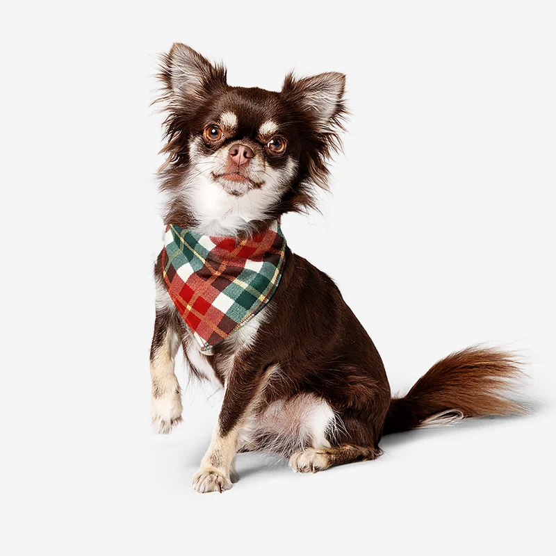 Pet bandana - Checkered print