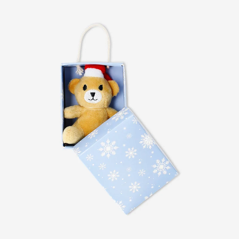 Plush toy - Mini teddy bear in a box