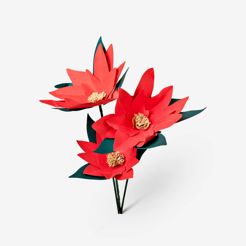 DIY poinsettia