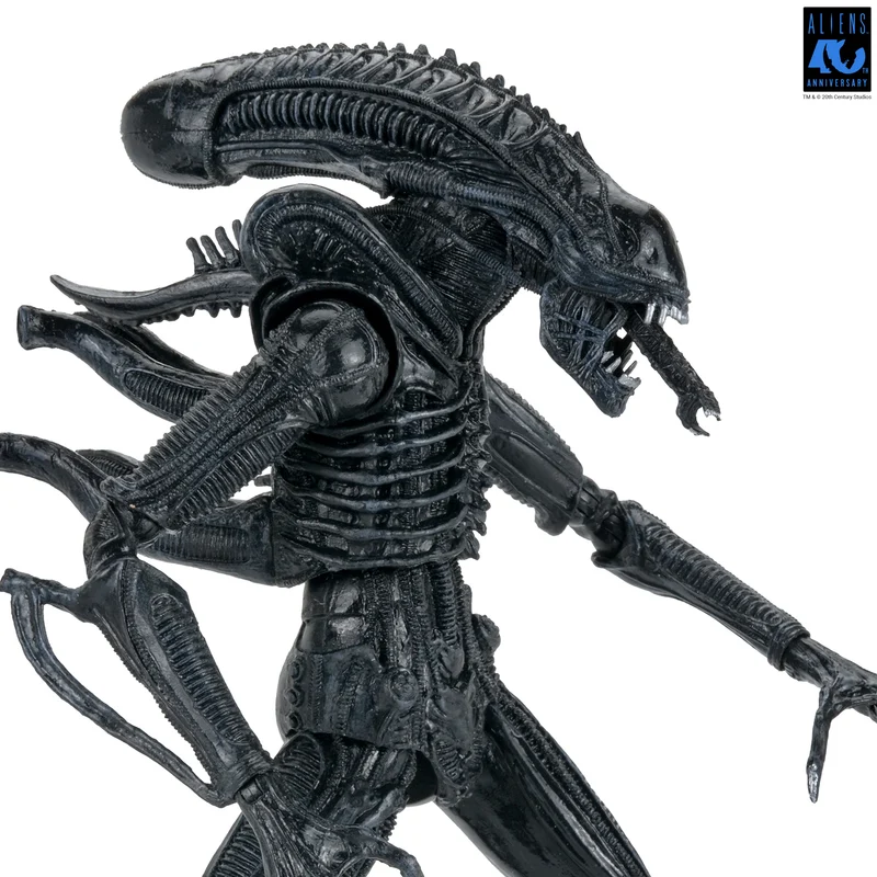 NECA Figura de Accion Ultimate: Aliens 40 Aniversario - Warrior Xenomorph Black 7 Pulgadas