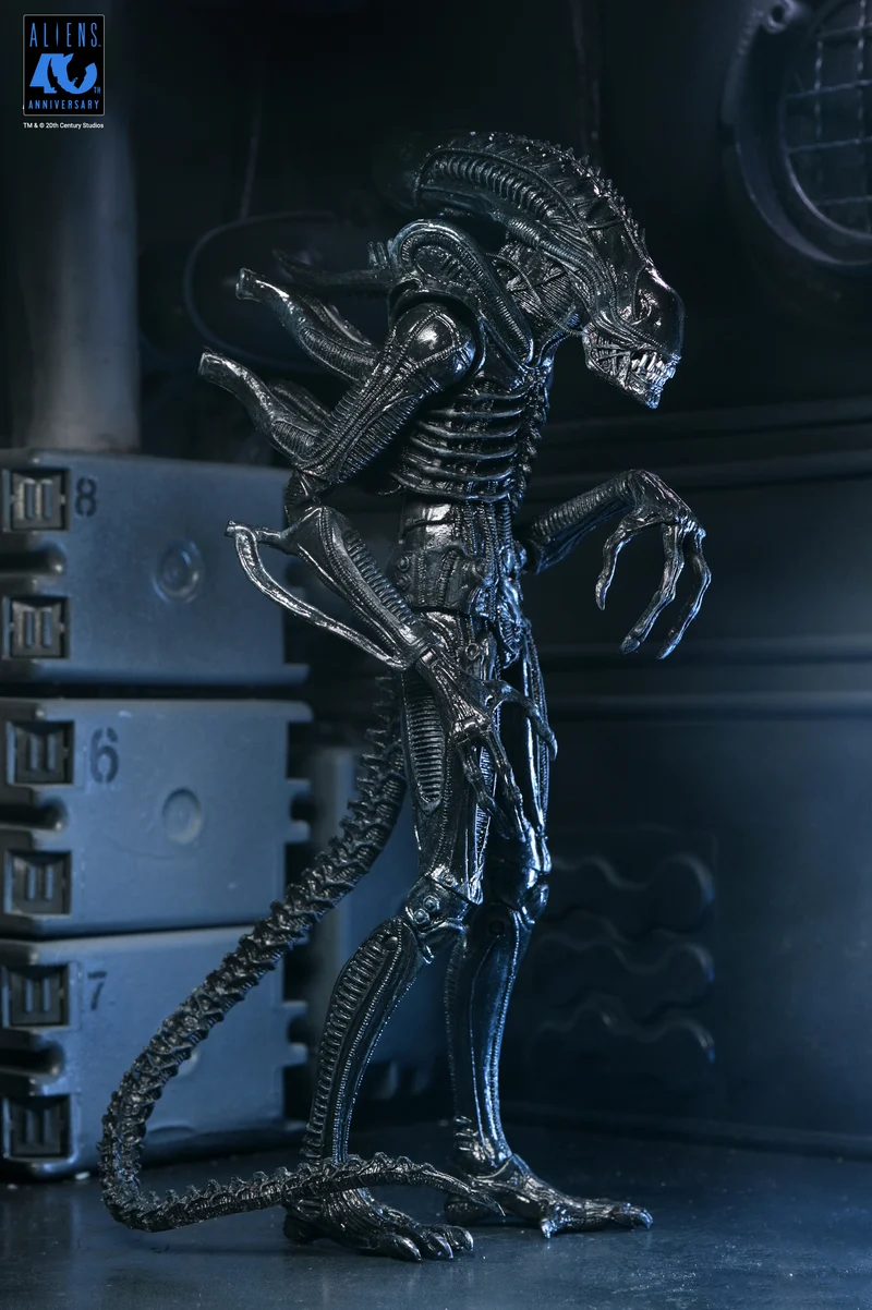 NECA Figura de Accion Ultimate: Aliens 40 Aniversario - Warrior Xenomorph Black 7 Pulgadas
