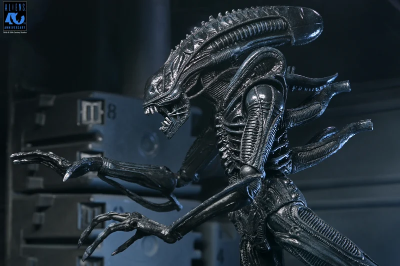NECA Figura de Accion Ultimate: Aliens 40 Aniversario - Warrior Xenomorph Black 7 Pulgadas