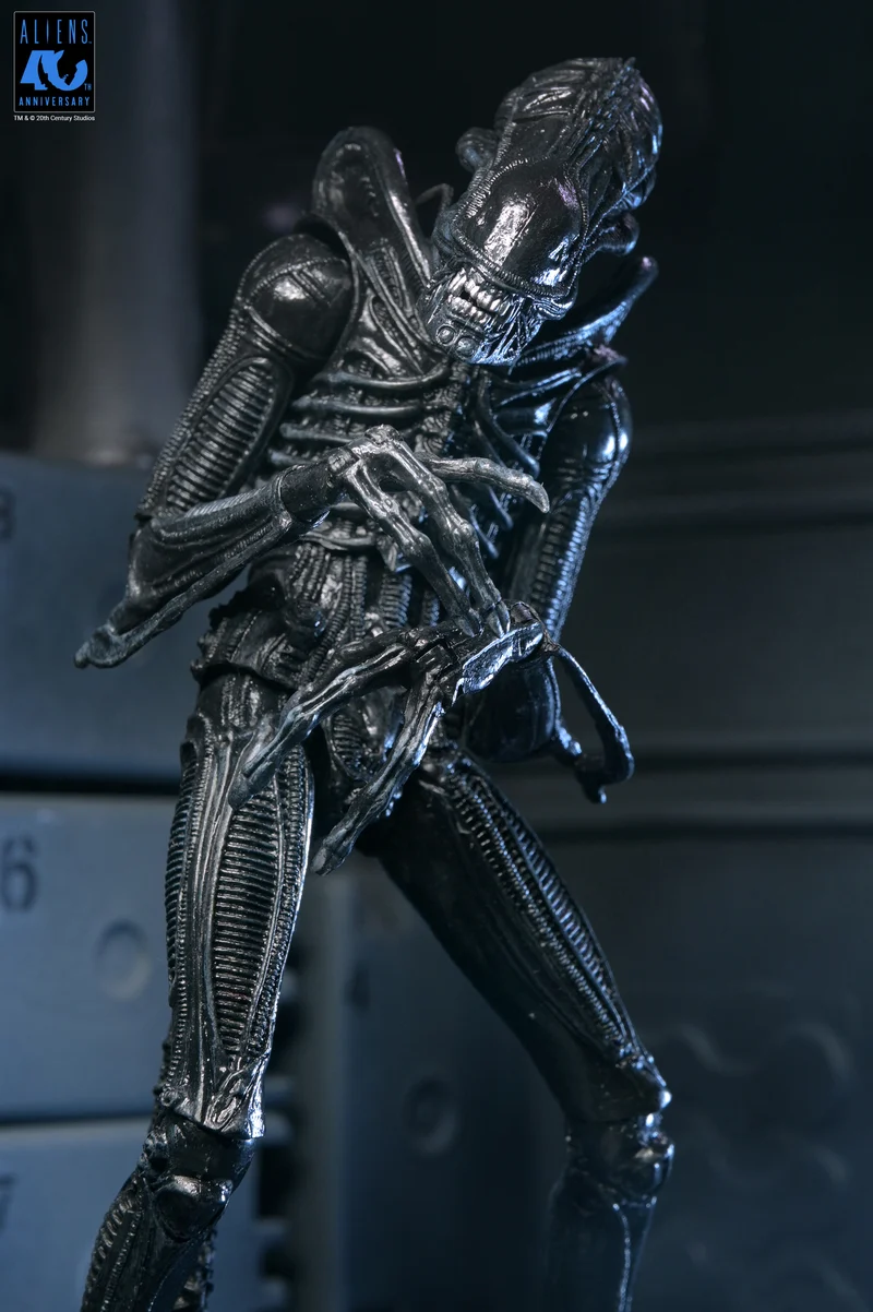 NECA Figura de Accion Ultimate: Aliens 40 Aniversario - Warrior Xenomorph Black 7 Pulgadas