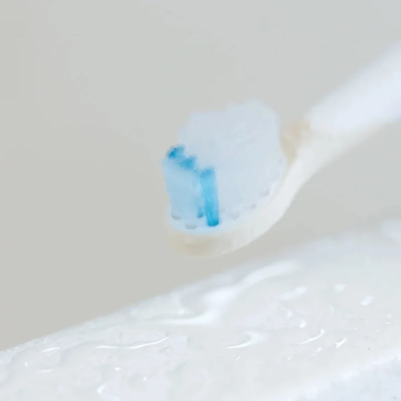 Zoo Toothbrush Deer · The Zoofamily