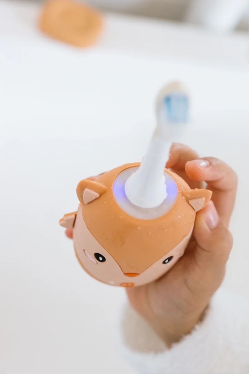 Zoo Toothbrush Fox · The Zoofamily