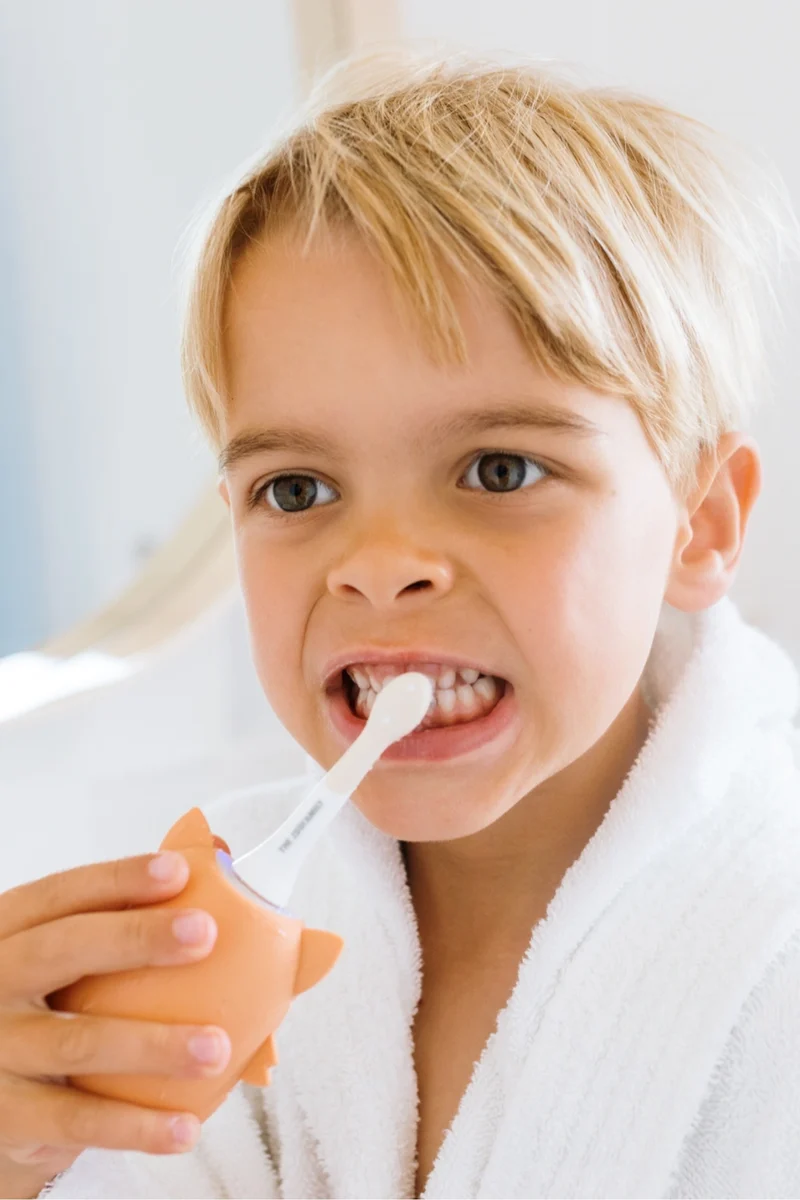 Zoo Toothbrush Fox · The Zoofamily