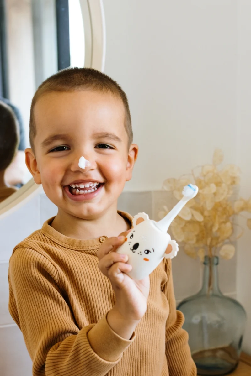 Zoo Toothbrush Koala · The Zoofamily