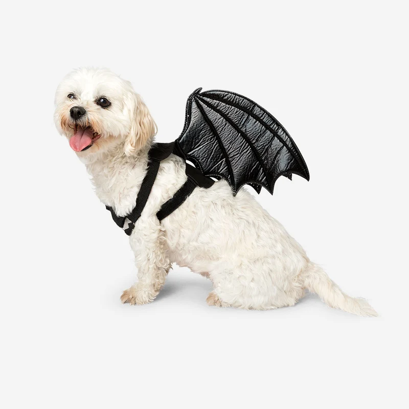 Costume for pets - Skeleton bat