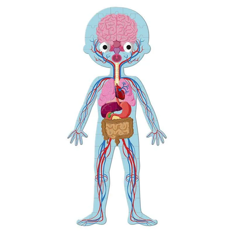 Puzzle · Cuerpo Humano - Janod