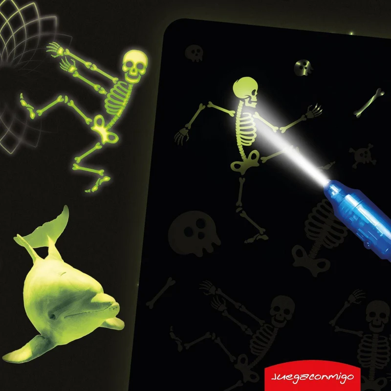 Pintafluo A4