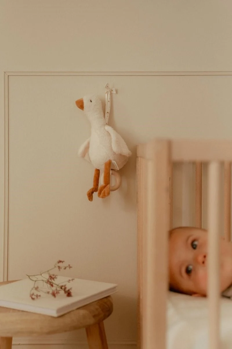 Oca Musical Newborn Natural · Little Dutch