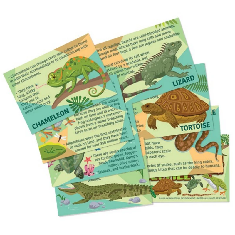 Moldea y Pinta Reptiles y Anfibios · 4M