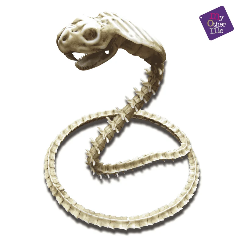 Esqueleto Cobra para disfraz