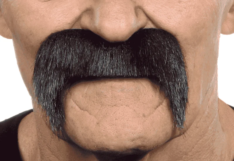 Bigotes para disfraz