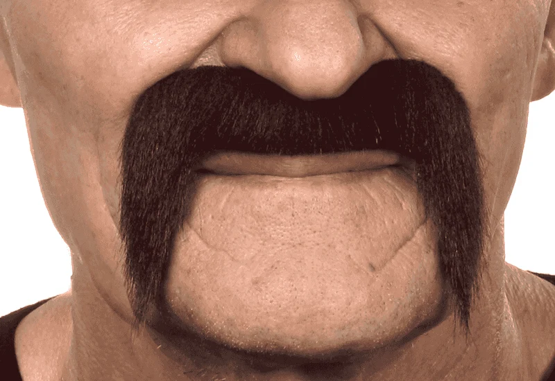 Bigotes para disfraz
