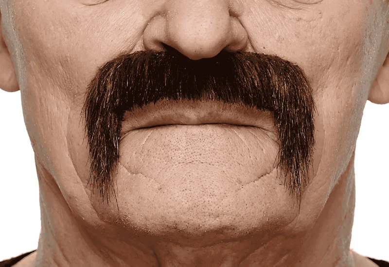 Bigotes para disfraz