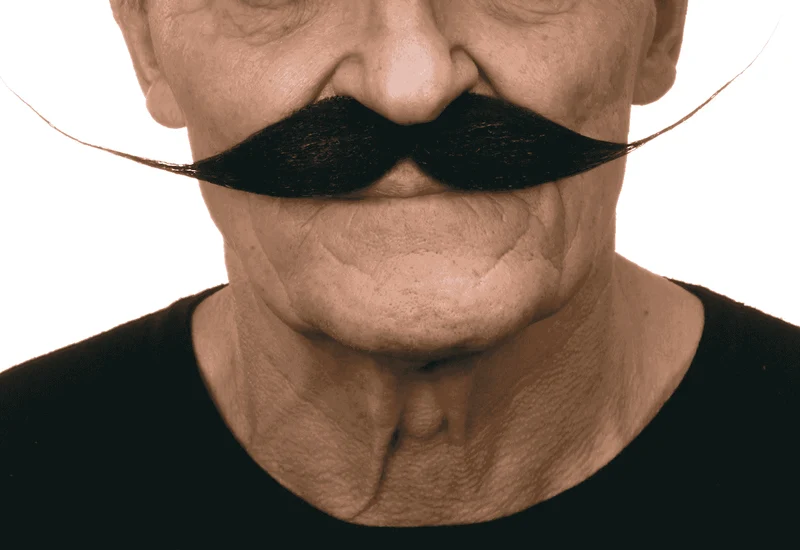 Bigotes para disfraz