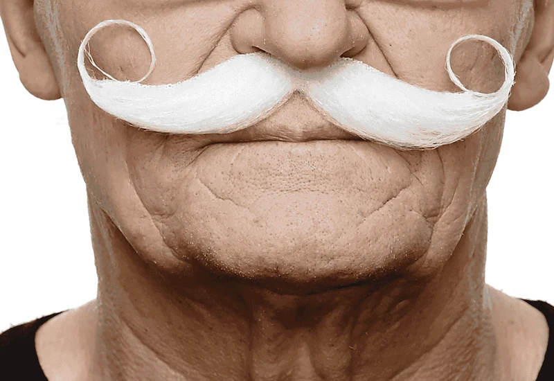 Bigotes para disfraz