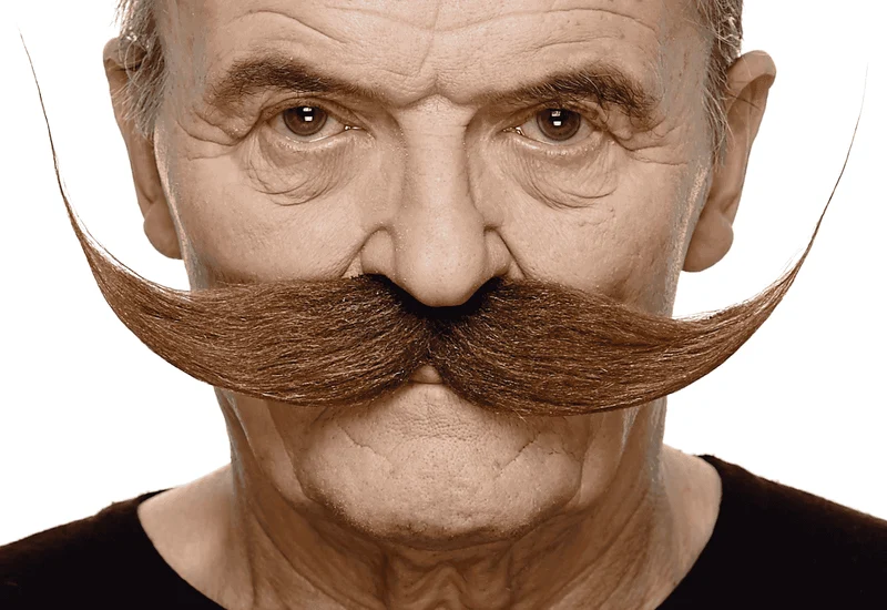 Bigotes para disfraz