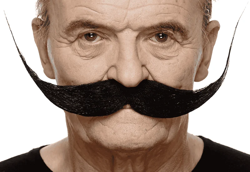 Bigotes para disfraz