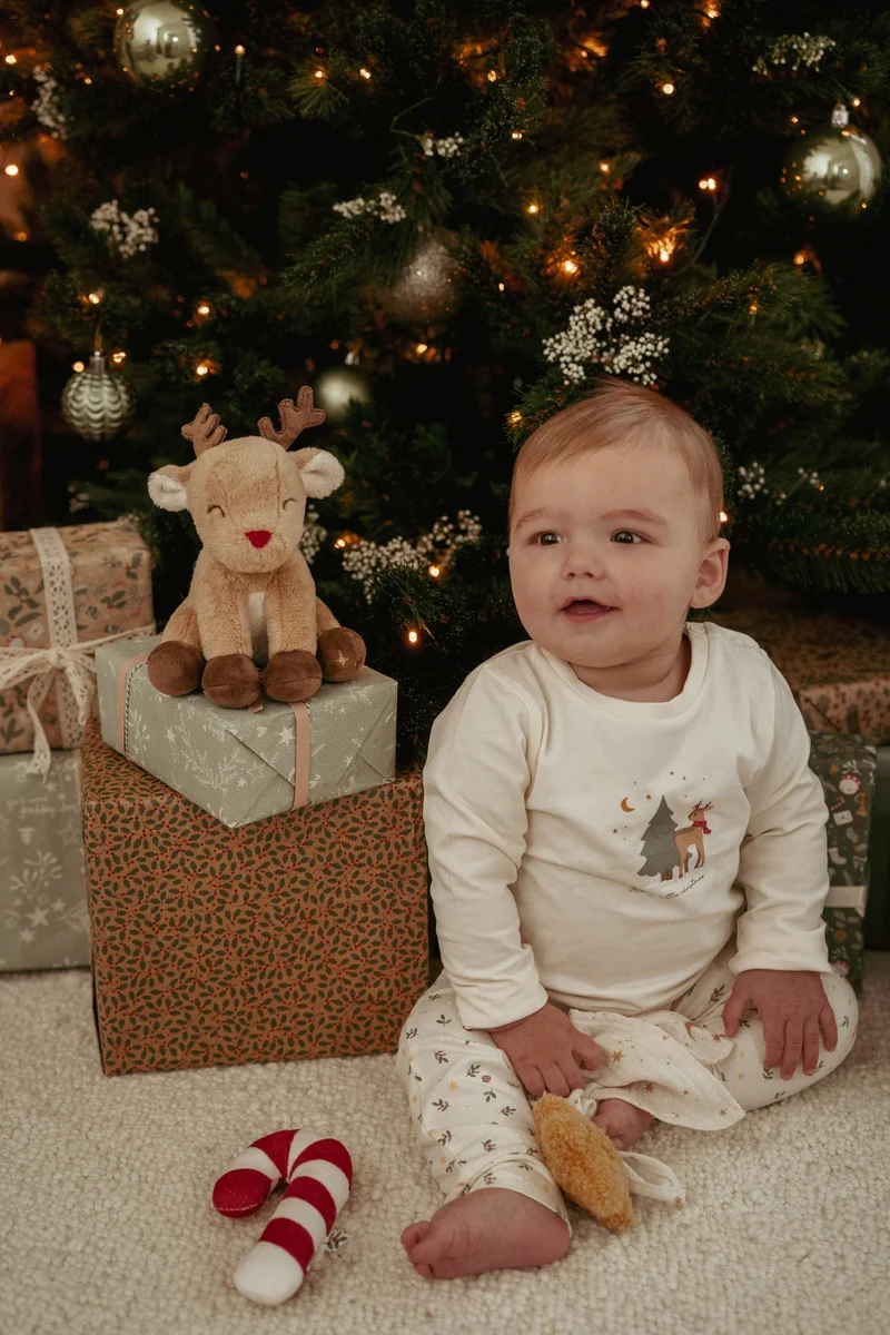 Caja Regalo Navidad · Little Dutch