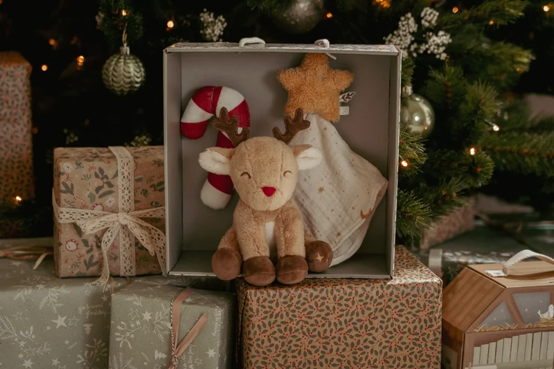 Caja Regalo Navidad · Little Dutch