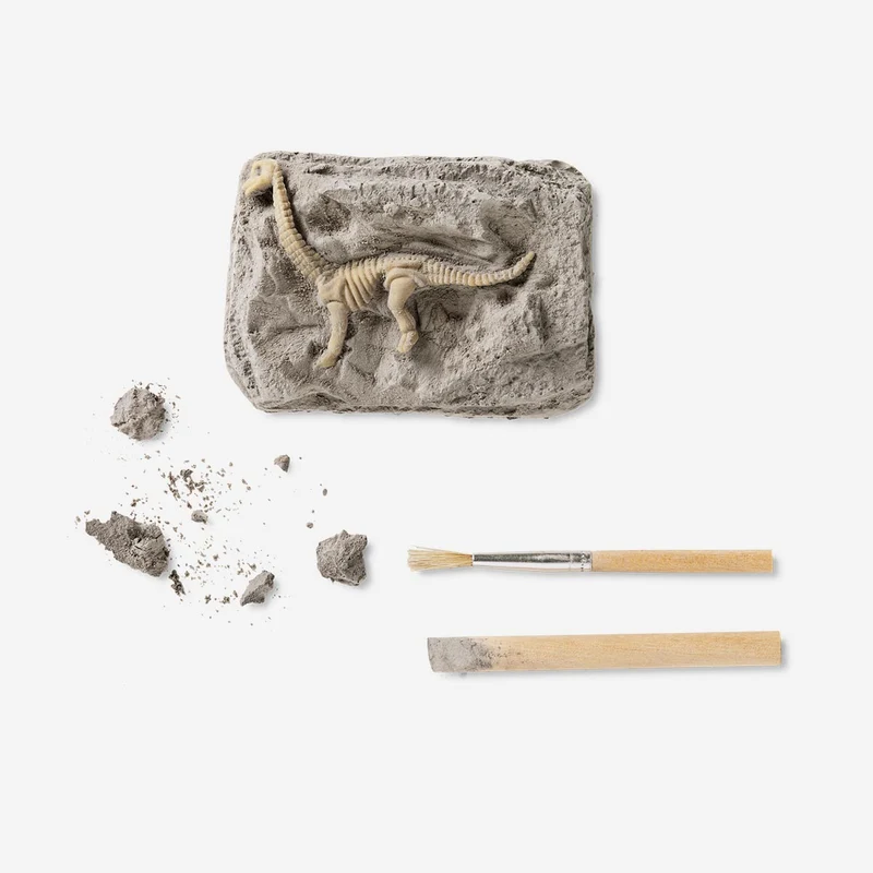 Excavation kit - Fossils