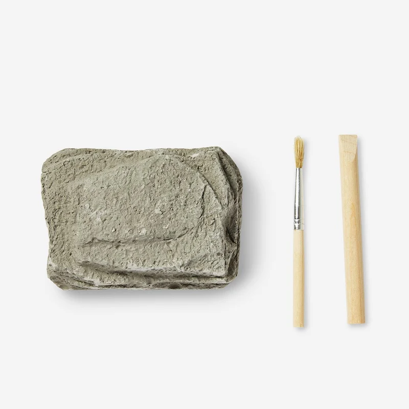 Excavation kit - Fossils