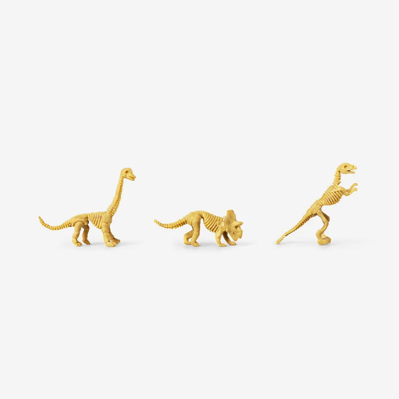 Excavation kit - Fossils