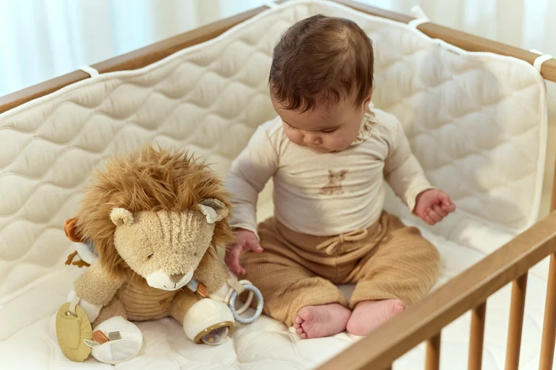 León de actividades Safari Friends · Little Dutch