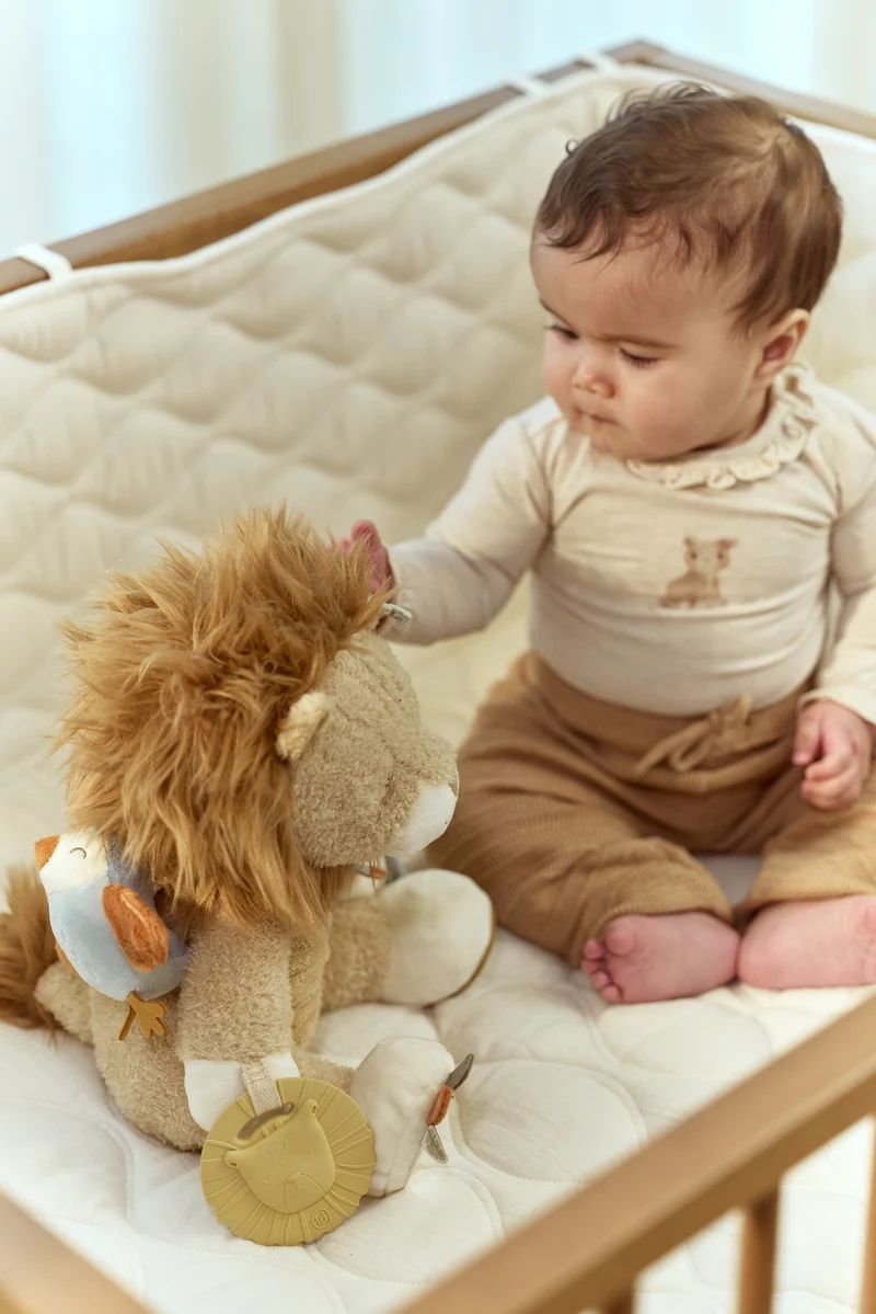 León de actividades Safari Friends · Little Dutch