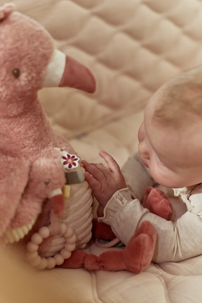 Flamenco de actividades Safari Friends · Little Dutch