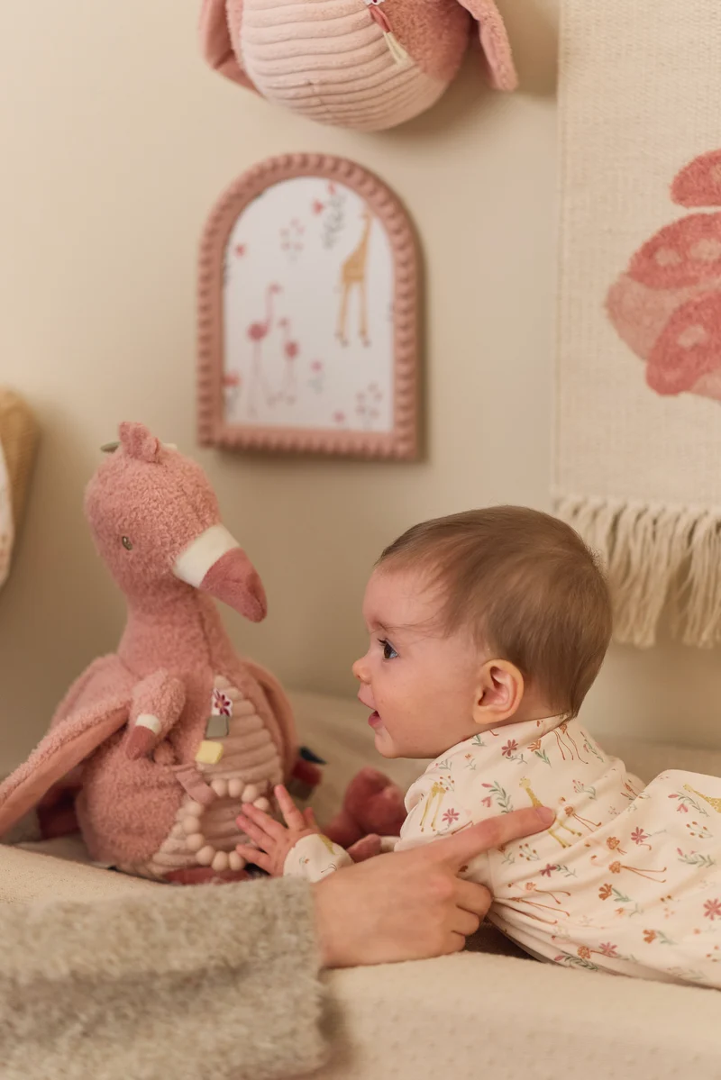 Flamenco de actividades Safari Friends · Little Dutch