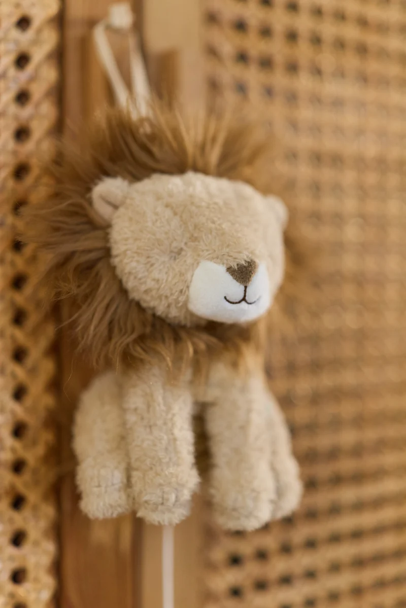 León musical Safari Friends · Little Dutch