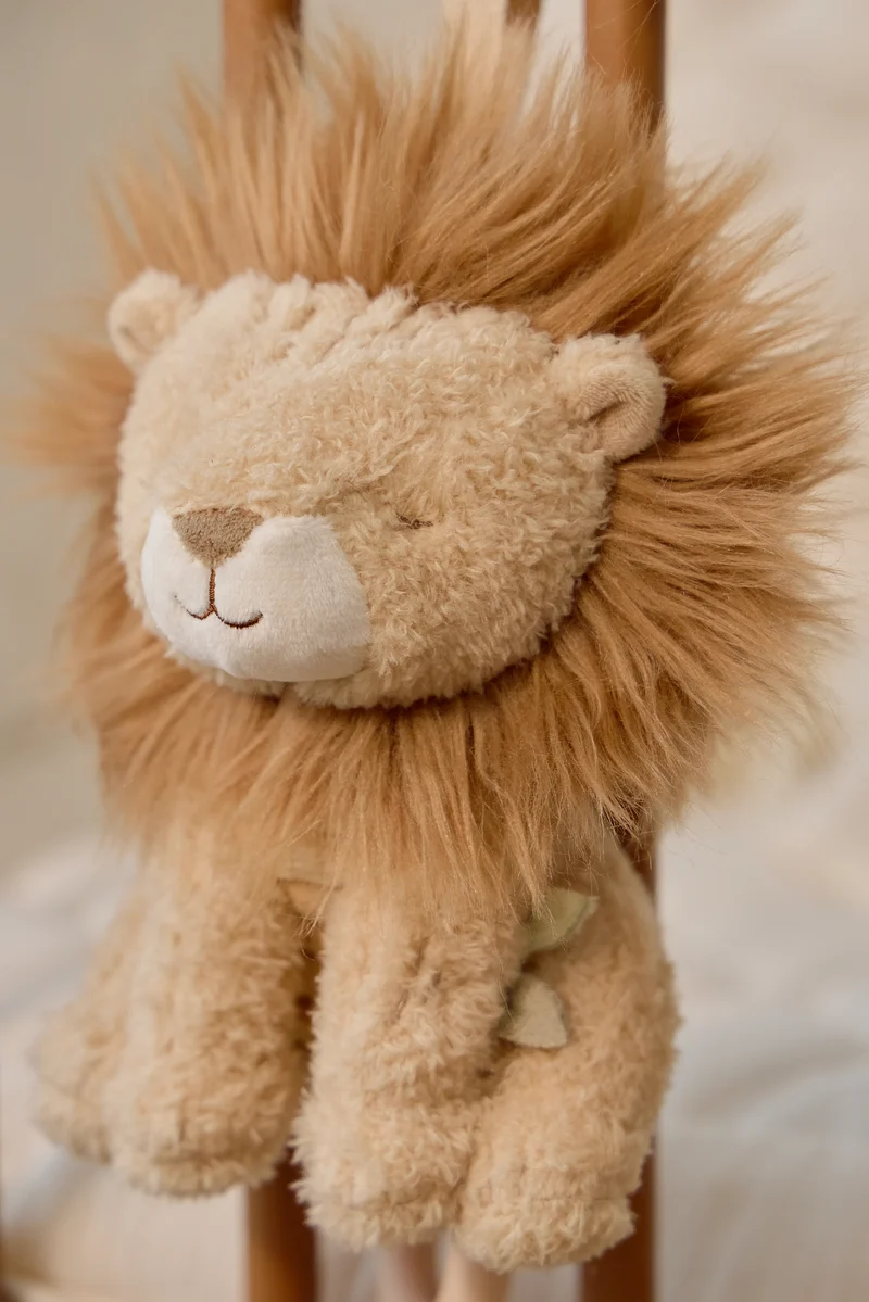 León musical Safari Friends · Little Dutch