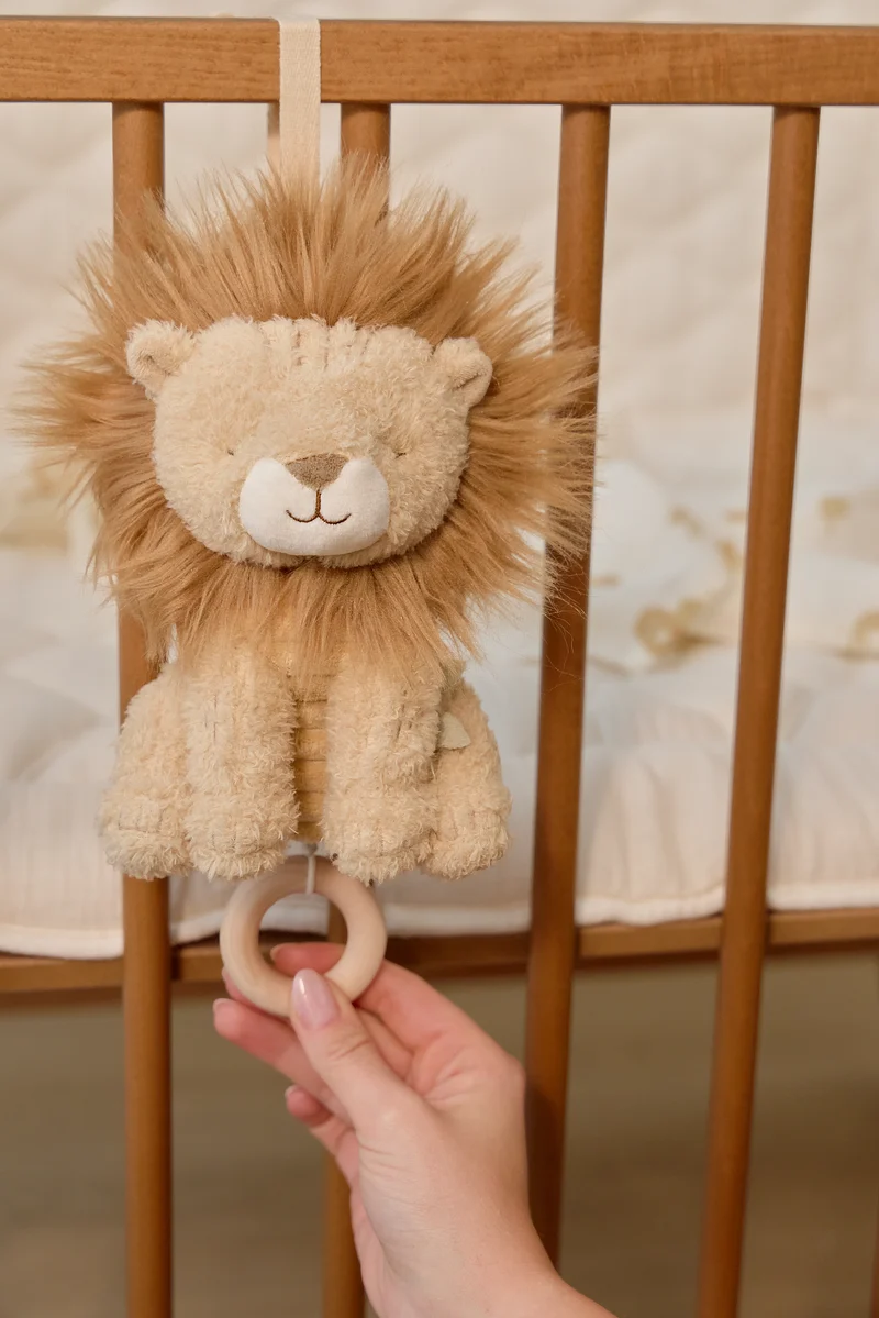León musical Safari Friends · Little Dutch