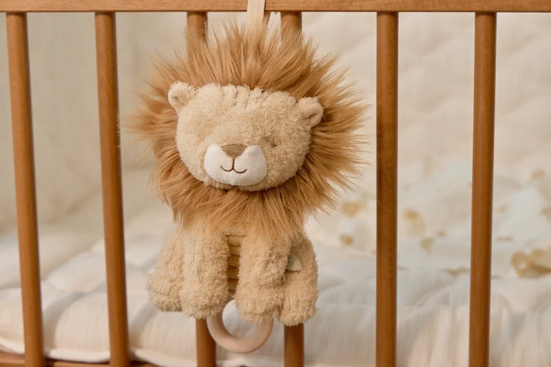 León musical Safari Friends · Little Dutch
