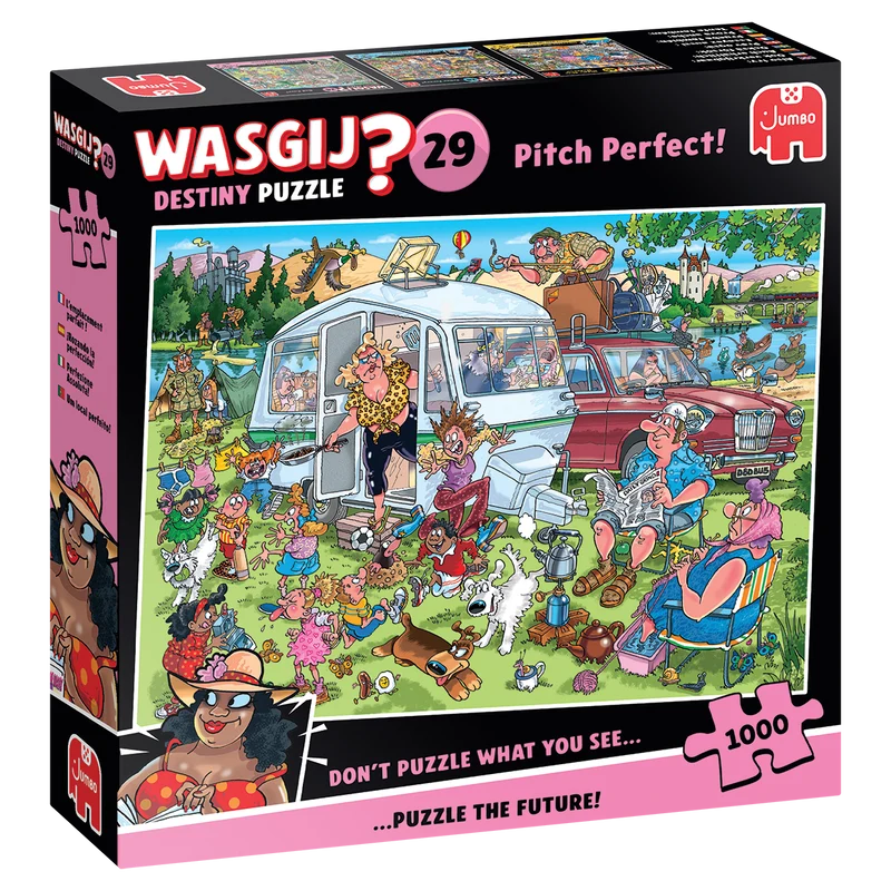 Wasgij Destiny 29 - Pitch Perfect! (1000 pieces)