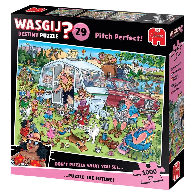 Wasgij Destiny 29 - Pitch Perfect! (1000 pieces)