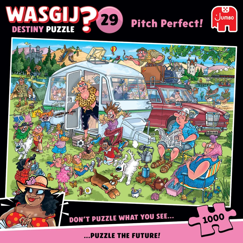 Wasgij Destiny 29 - Pitch Perfect! (1000 pieces)