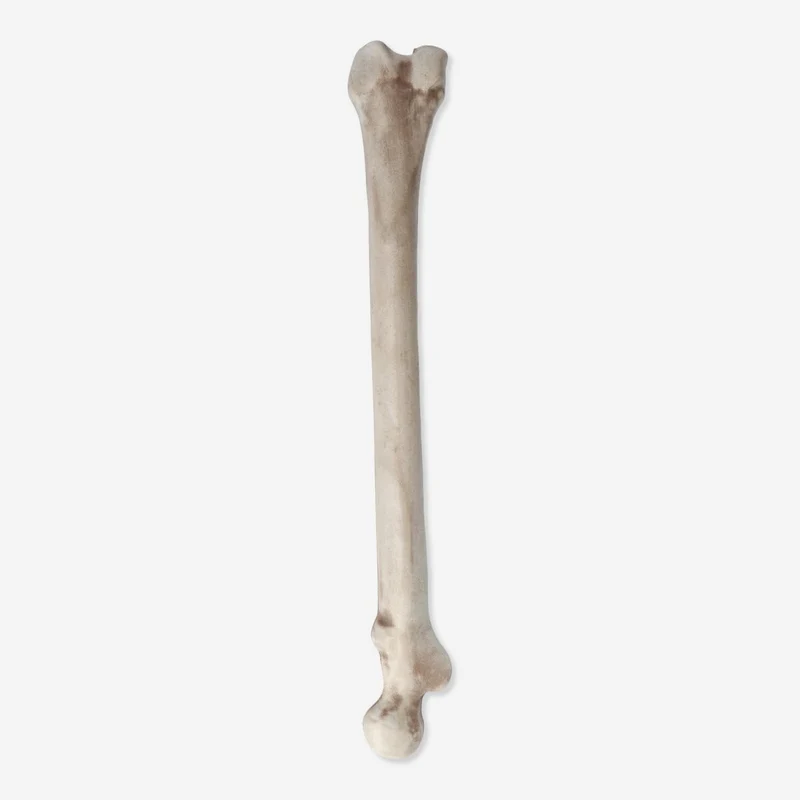 Pinata stick