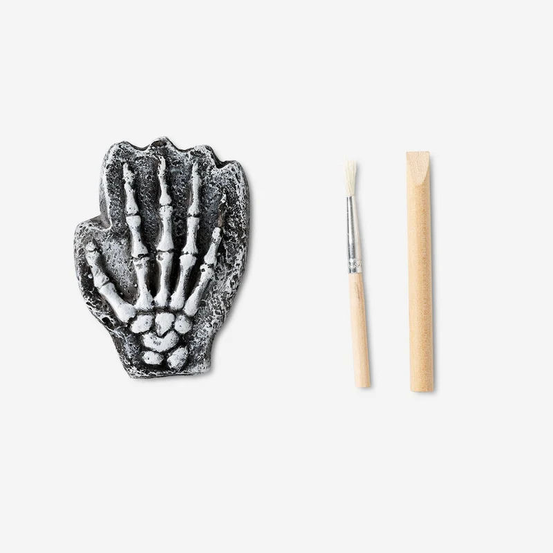 Excavation kit. Skeletons