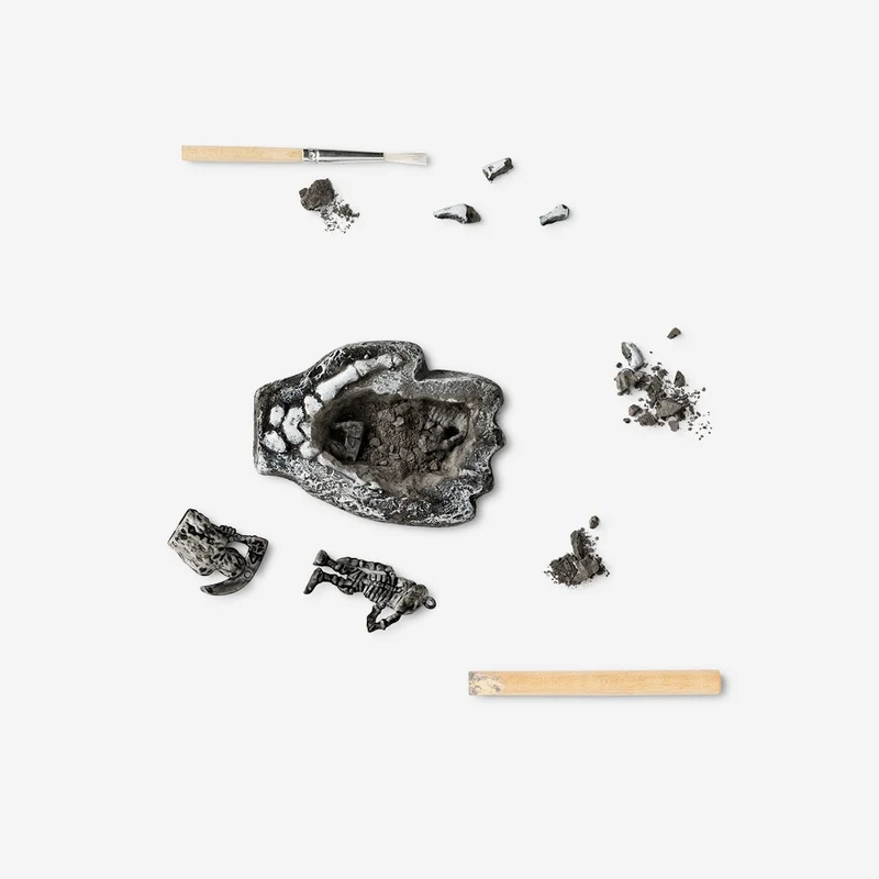 Excavation kit. Skeletons