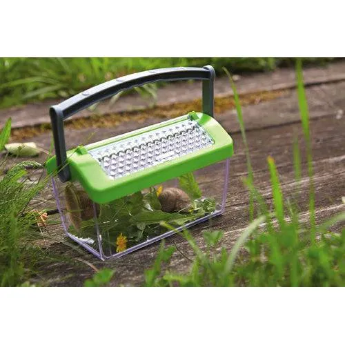 Terra Kids Caja para insectos · Haba