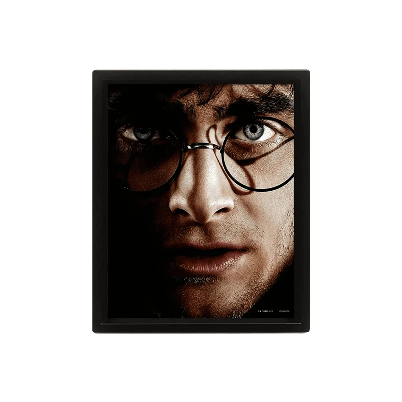 Cuadro 3D Harry Potter - Voldemort