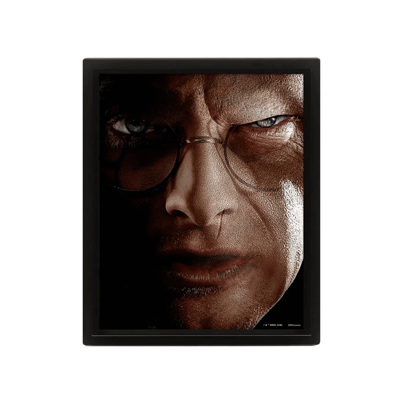 Cuadro 3D Harry Potter - Voldemort