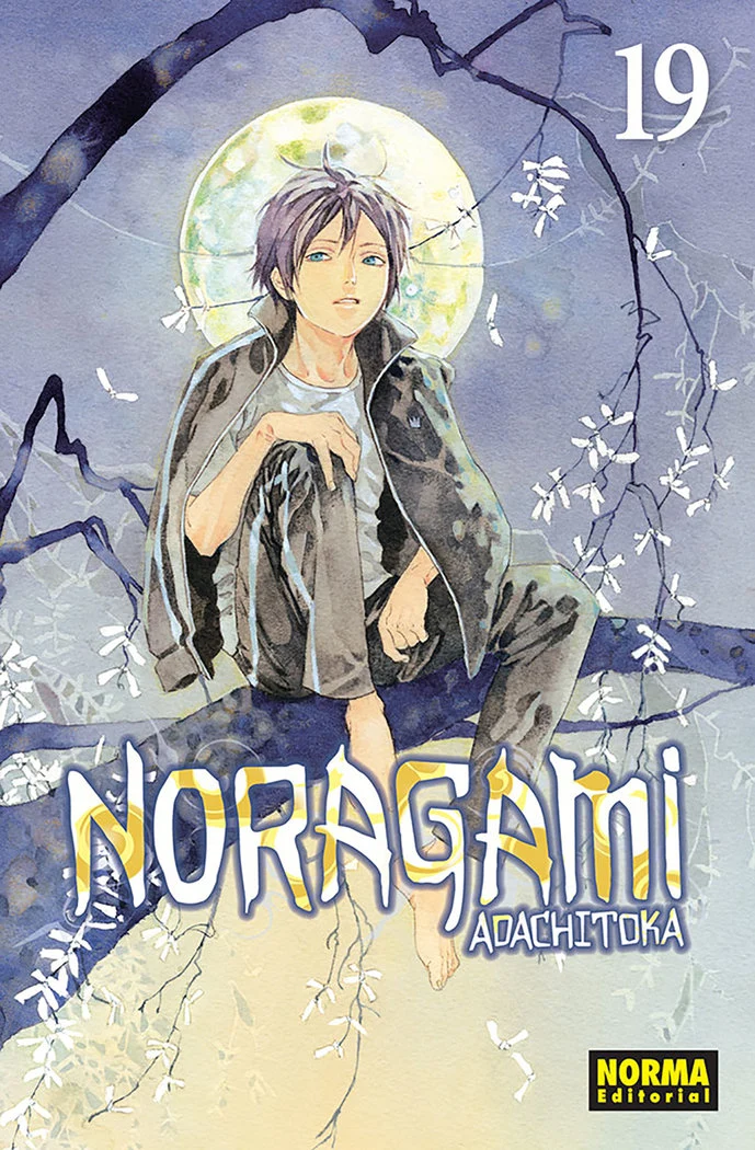 Noragami 19 (ES)