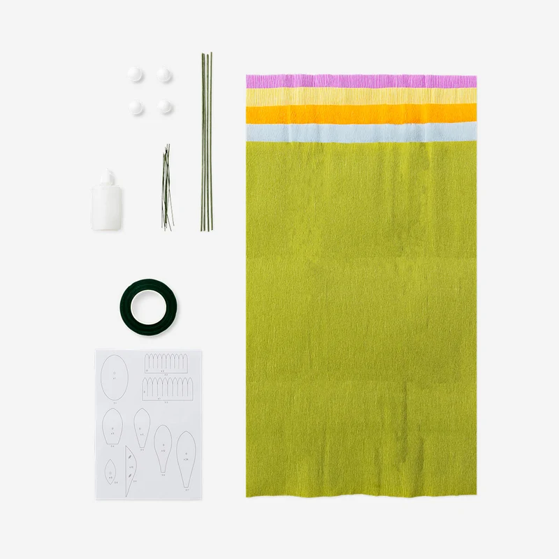 DIY paper flowers kit