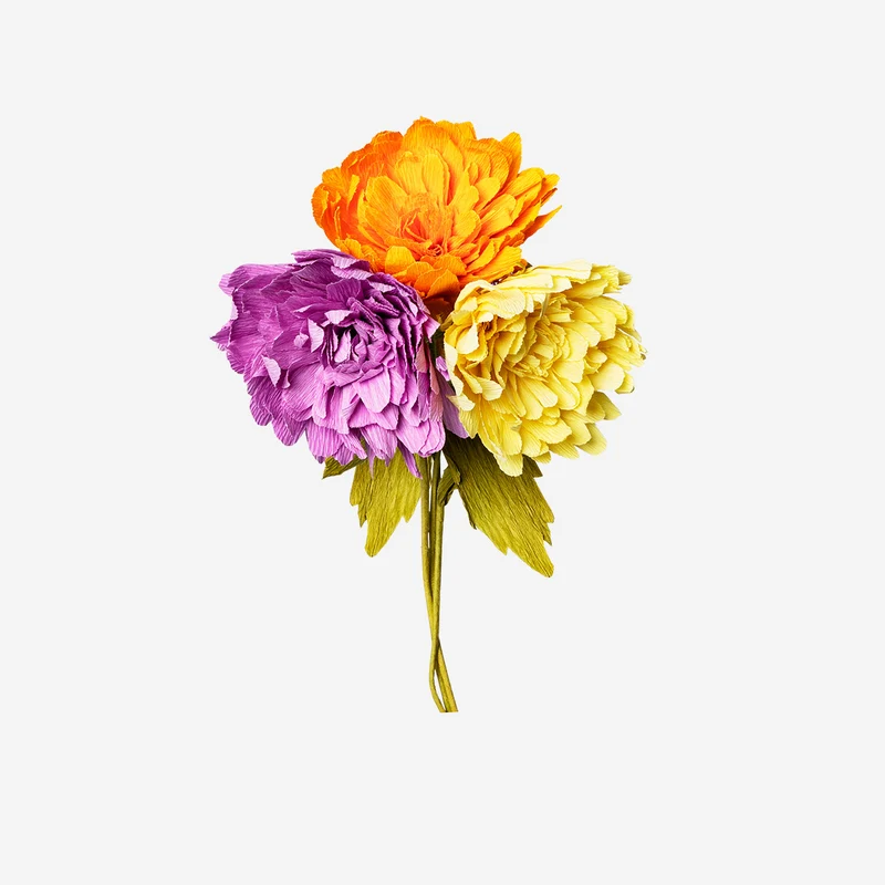 DIY paper flowers kit