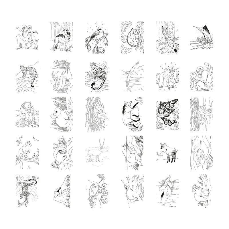 Pizarra Kidydraw PAD Animales